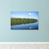 マト・グロッソ州、アマゾン、ブラジル。森林のある キャンバスプリント (インサイチュ (ウッドフロア))