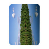 マト・グロッソ州、アマゾン、ブラジル。森林のある マグネット (縦)