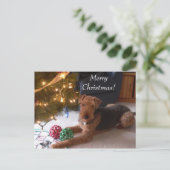 マドリンの郵便はがきとのクリスマス シーズンポストカード (スタンド正面)