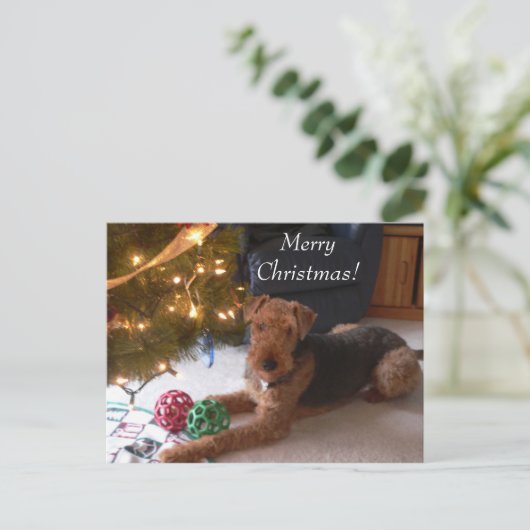 マドリンの郵便はがきとのクリスマス シーズンポストカード (スタンド正面)