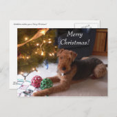 マドリンの郵便はがきとのクリスマス シーズンポストカード (正面/裏面)