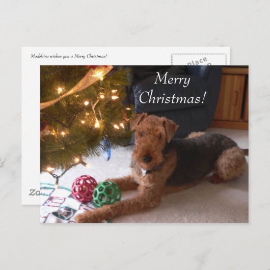 マドリンの郵便はがきとのクリスマス シーズンポストカード (正面/裏面)