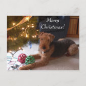 マドリンの郵便はがきとのクリスマス シーズンポストカード (正面)