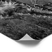 マドリードの夏のアザミ ポスター (角)