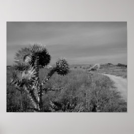 マドリードの夏のアザミ ポスター