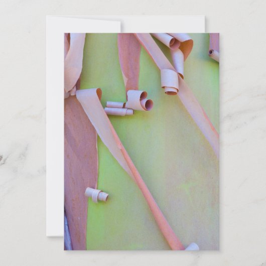 マドローンツリーバーク抽象芸術 サンキューカード (正面)