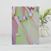 マドローンツリーバーク抽象芸術 サンキューカード (スタンド正面)