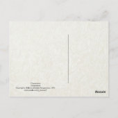 マドンナと子 ポストカード (裏面)