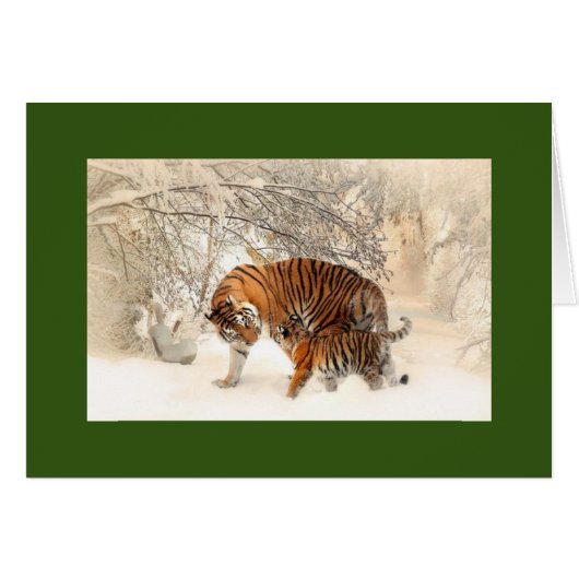 マドンナとCUBタイガースが雪解きカードに入っている (正面横)