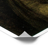 マドンナピエトラデッリスクロヴィニ ポスター (角)