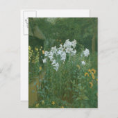 マドンナユリが庭に ポストカード (正面/裏面)