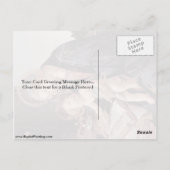 マドンナ・オブ・ザ・ブックby Sandro Botticelli ポストカード (裏面)