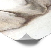 マドンナ・オブ・ロレト – ラファエル – c1511 ポスター (角)