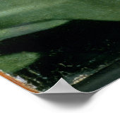 マドンナ ポスター (角)