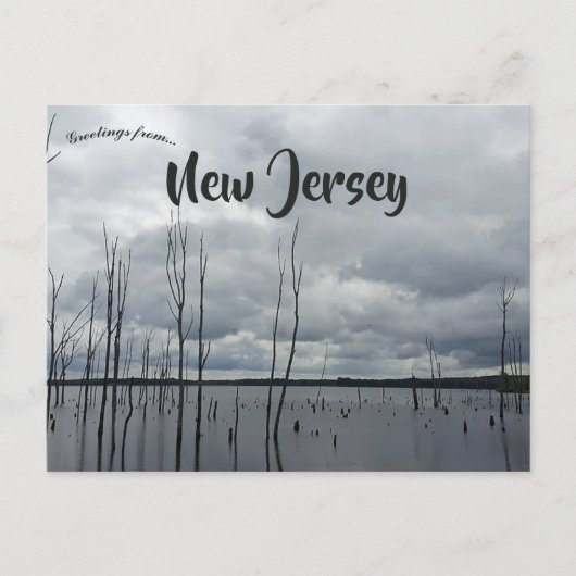 マナスクアンリザーバモンマス郡ニュージャージー ポストカード (正面)