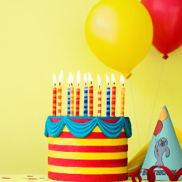 マナティーとバルーンカスタムの誕生日パーティー パーティーハット