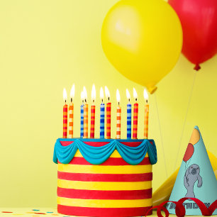 マナティーとバルーンカスタムの誕生日パーティー パーティーハット