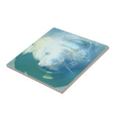 マナティーのタイルをかいま見ること タイル (側面)