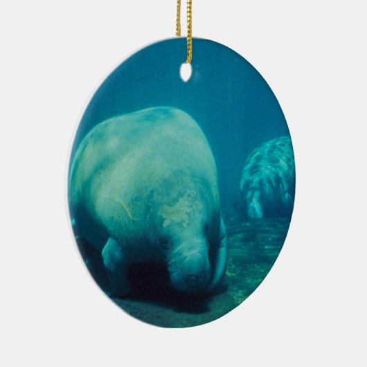 マナティーの写真のオーナメント セラミックオーナメント (右)
