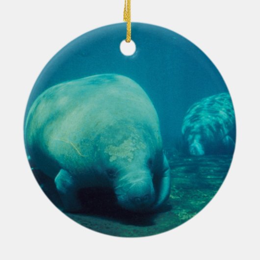 マナティーの写真のオーナメント セラミックオーナメント (裏面)