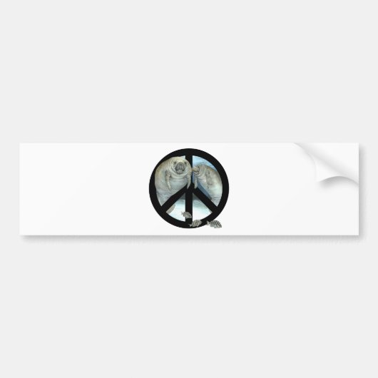 マナティーの平和 バンパーステッカー (正面)