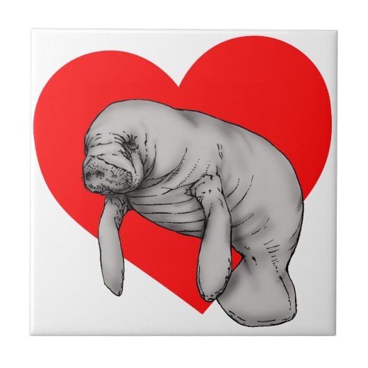 マナティーの芸術 タイル (正面)