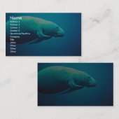 マナティーの負傷 名刺 (正面/裏面)