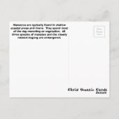 マナティーの郵便はがき ポストカード (裏面)