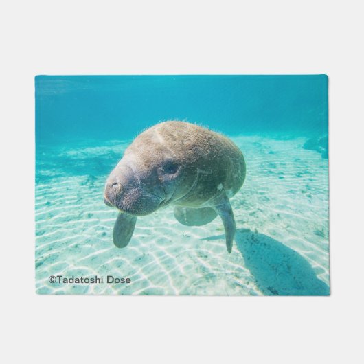 マナティー写真 ドアマット (正面)