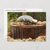 マナティー噴水 ポストカード (正面/裏面)