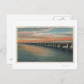 マナティー川に100万ドルの橋 ポストカード (正面/裏面)