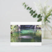 マナティー ポストカード (スタンド正面)