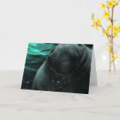 マナテキス カード (黄色い花)