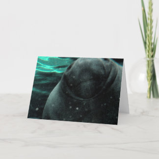 マナテキス カード