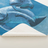 マナテス シェルパブランケット (3/4)