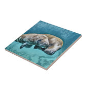 マナテス タイル (側面)