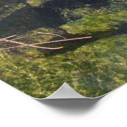 マナテス ポスター (角)