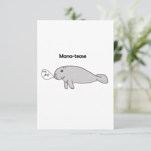 マナテース (スタンド正面)