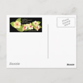 マナナ島 ポストカード (裏面)