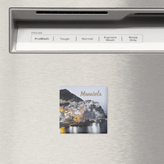 マナロラチンクテッレリグーリアイタリアファインアートギフト マグネット (インサイチュ (食洗機))