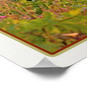 マナローラVineyard Harbor – オンホワイト ポスター (角)