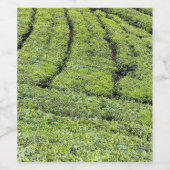マナール茶園のワインボトルラベル ワインラベル (シングルラベル)