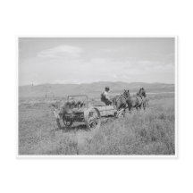 マニアスプレッダ