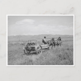 マニアスプレッダ ポストカード