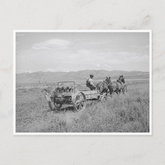 マニアスプレッダ ポストカード (正面)