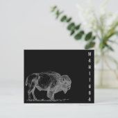 マニトバビソン ポストカード (スタンド正面)