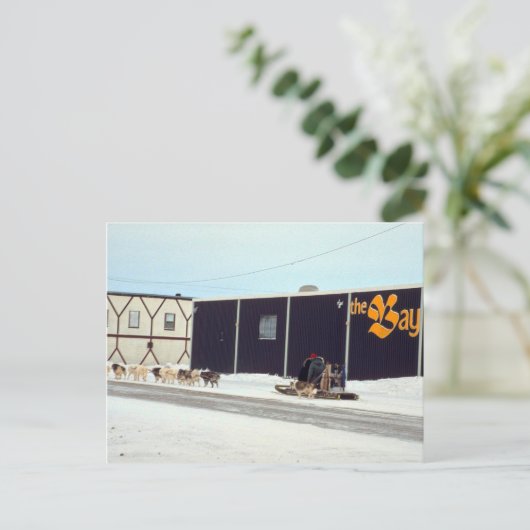 マニトバ州チャーチルでの犬ぞりチーム ポストカード (スタンド正面)