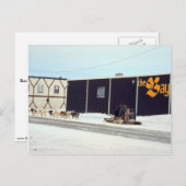 マニトバ州チャーチルでの犬ぞりチーム ポストカード (正面/裏面)