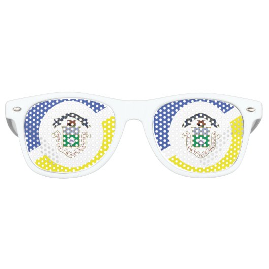 マニトバ・ウィニペグ国旗 レトロサングラス (正面)