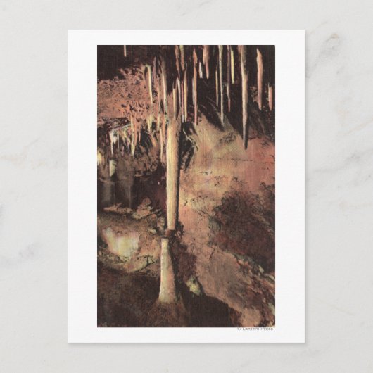 マニトー春、コロラド2 ポストカード (正面)